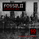 Fossilii A Wonderful Week