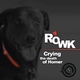 Dj Rowk Crying the Death of Hommer