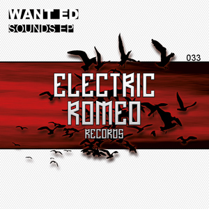 Want Ed - Sounds Ep (Electric Romeo Records)