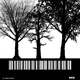 Various Artists - Zauberwald