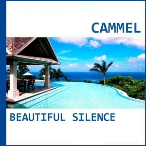 Cammel - Beautiful Silence (Acunadeep)