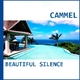 Cammel Beautiful Silence