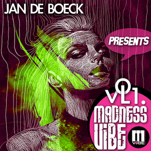 Various Artists - Jan De Boeck Presents Madness Vibe Vol 1.  (Procon Records )