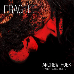 Andrew Hoek - Fragile (Transfigured Music)