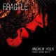 Andrew Hoek - Fragile