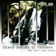 Cut&acute;n Glue - Stand Still For A Moment