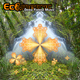 Ecometric Deep Forest Music Ecometric Deep Forest Music