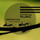 Sebastian Fuchs - In My Jungle