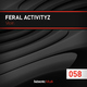 Feral Activityz Violin