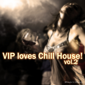 Various Artists - V.I.P Loves Chill House! Vol.2 (Blissful Moods)