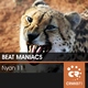 Beat Maniacs - Nyan 11