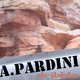 A. Pardini Dribble