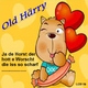 Old H&auml;rry - Ja De Horst
