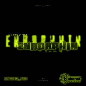 Marcus Illgenstein - Endorphin (Zahnrad Records)