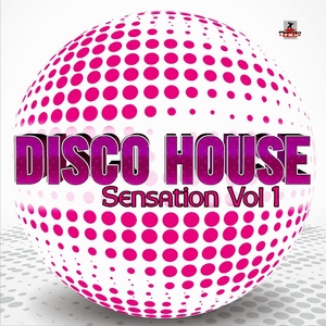 Various Artists - Disco House Sensation Vol.1 (Planeta Mix Records)