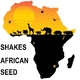 Shakes - African Seed
