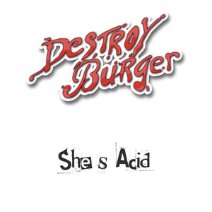 Destroy Burger - Shes Acid (Destroy Burger)