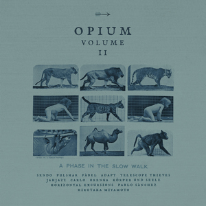 Various Artists - Opium Vol.2: a Phase In The Slow Walk  (Avantroots)