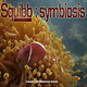 Squibb Symbiosis