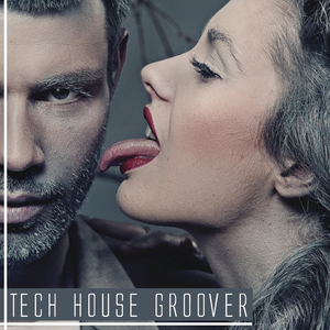 Various Artists - Tech House Groover (Scarecrow Music)
