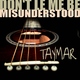 Taymar Don&acute;t Let Me Be Misunderstood