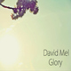 David Mel Glory