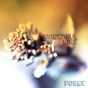 Fobee - Wonderful Lies (White Balance Recordings)