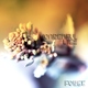 Fobee Wonderful Lies