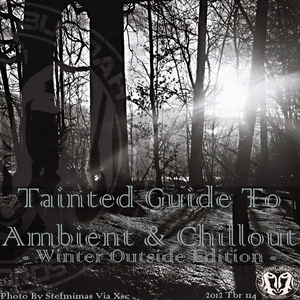 Various Artists - Tainted Guide To Ambient & Chillout Winter Outside Edition (Tainted Buddah Recs)
