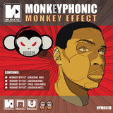 Monkey Effect by Monkey Phonic mp3 download