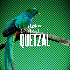 Doob - Quetzal (Halftone)