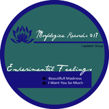 Beautifull Madness by Experimental Feelings mp3 download