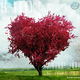 K-Jano Ft. Markus Engel - I Love You