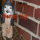 Paff Alien - Western High