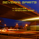 Several Spirits - Flyover