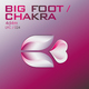 4d4m - Big Foot - Chakra