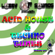 Kai Acid Acid House & Techno Tunes Kai Acid Acid House & Techno Tunes