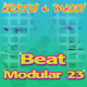 Arktis & Maddy Beat Modular 23 