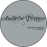 Initial Condition por Noisebuilder descargas mp3