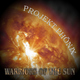 Projekt Ph&ouml;nix - Warriors Of The Sun