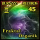 Fraktal Organik