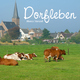 Marco Stenzel - Dorfleben Marco Stenzel - Dorfleben