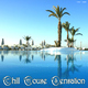 Various Artists Chill House Sensation 