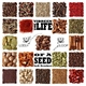 Vibreen - The Life Of A Seed Remixes