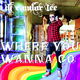 Randor Lee - Where You Wanna Go