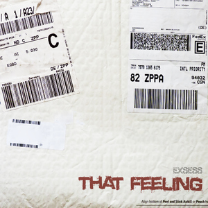 Exsess - That Feeling (xs-music) Exsess - That Feeling (xs-music)