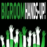 Bigroom Hands-Up! by Various Artists mp3 download