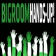 Various Artists - Bigroom Hands-Up!