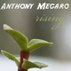 Anthony Megaro - Rising