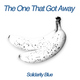 Solidarity Blue - The One That Got Away